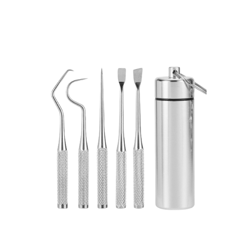 Set di strumenti per intaglio dentale in acciaio inox con custodia. Include 5 strumenti di precisione per odontoiatria e igiene orale.