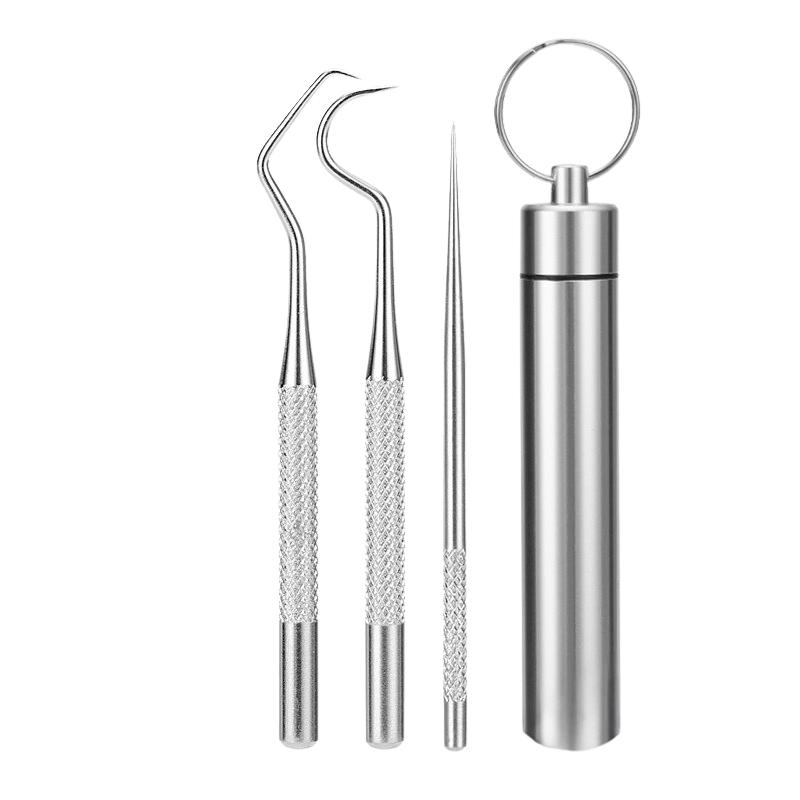 Set di strumenti dentali in acciaio inossidabile, include specillo, sonda e custodia portatile. Ideale per igiene orale e pulizia dentale professionale.
