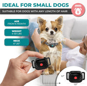 Collare antiabbaio per cani di piccola taglia, adatto da 6 mesi, peso 2-20 kg, circonferenza collo 15-50 cm. Design compatto, efficace per ogni tipo di pelo.