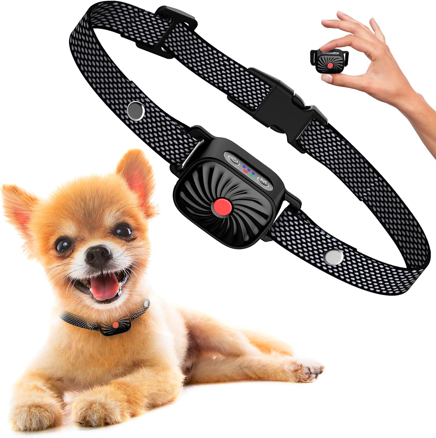 Collare antiabbaio per cani di piccola taglia, regolabile, con telecomando. Dispositivo di addestramento sicuro ed efficace per animali domestici.