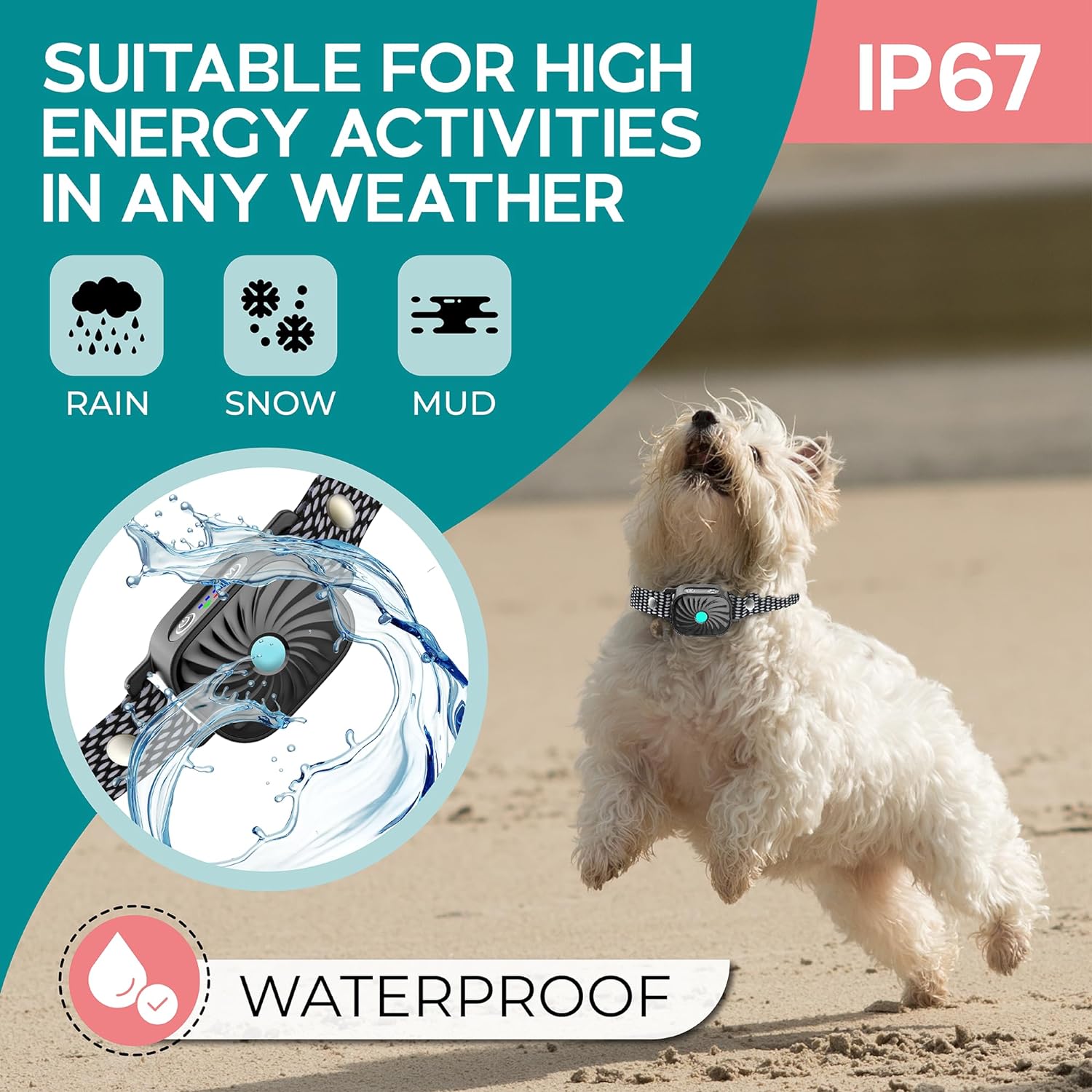 Cane bianco che salta sulla spiaggia con collare impermeabile IP67, adatto per pioggia, neve e fango. Accessorio per attività all'aperto.