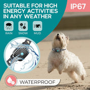 Cane bianco che salta sulla spiaggia con collare impermeabile IP67, adatto per pioggia, neve e fango. Accessorio per attività all'aperto.