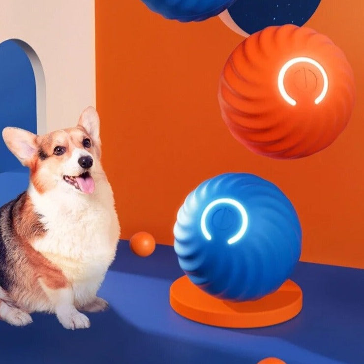 Corgi seduto accanto a palline giocattolo interattive blu e arancioni con luci LED, su sfondo colorato. Giocattoli per cani, design moderno.
