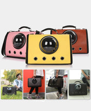 Borsa da viaggio per animali domestici per aerei e auto 3