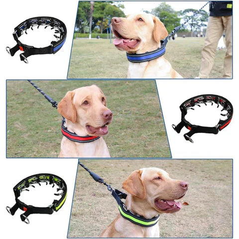 Collare anti-strappo LeadEase | Collare anti-strappo per passeggiate controllate e rilassate 2