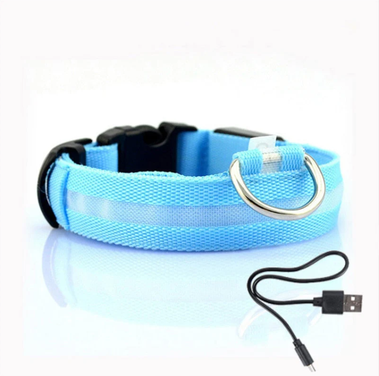 Collare per cani con luci LED 0