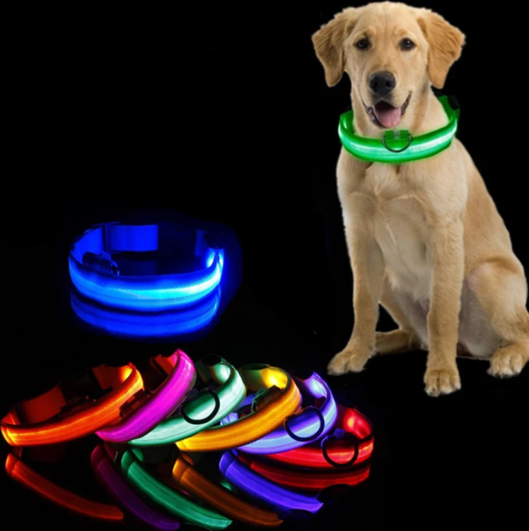 Collare per cani con luci LED 1