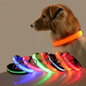 Collare per cani con luci LED 2