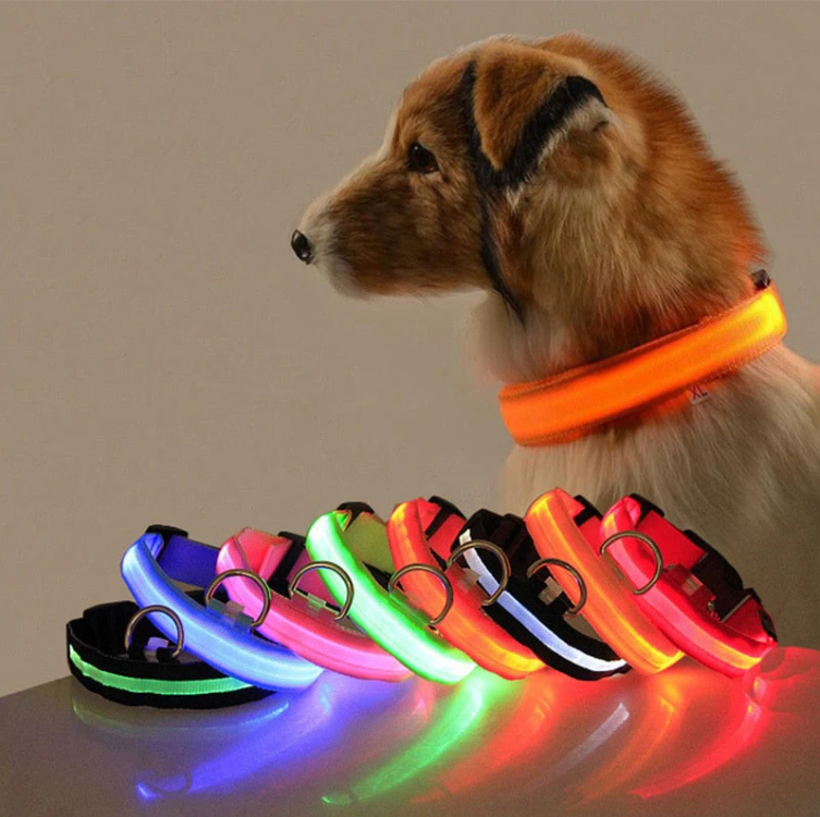 Collare per cani con luci LED 2