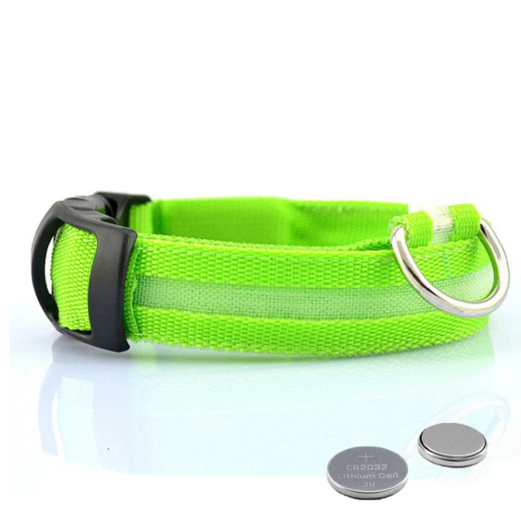 Collare per cani con luci LED 4
