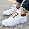 Beige / 39
