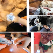 Tagliaunghie per animali domestici con luce LED, utilizzato su cani e gatti. Strumento per la cura delle unghie, sicuro e preciso.