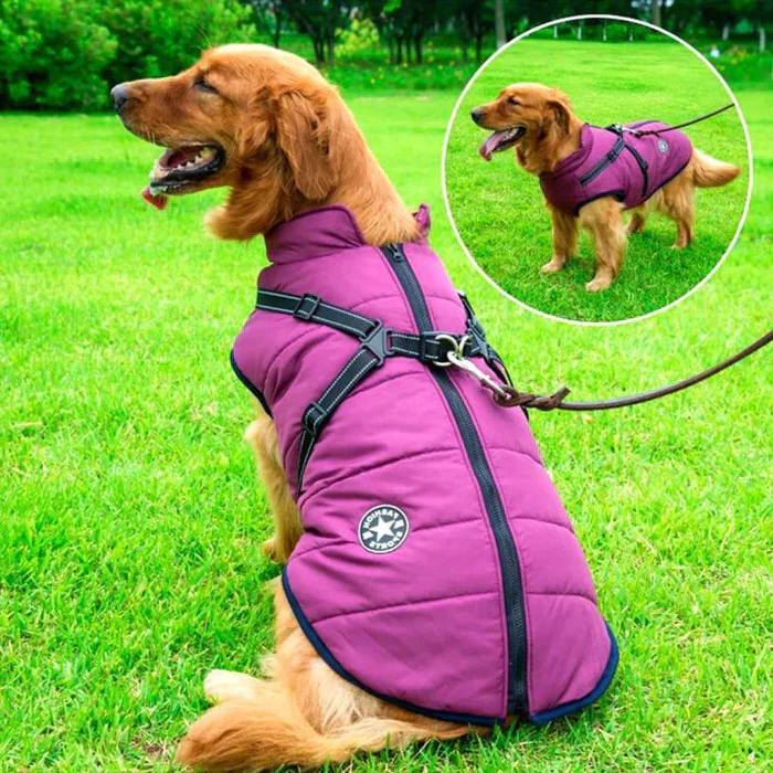 Giacca invernale impermeabile per cani - Foderata in pile Sherpa - Pettorina integrata 0