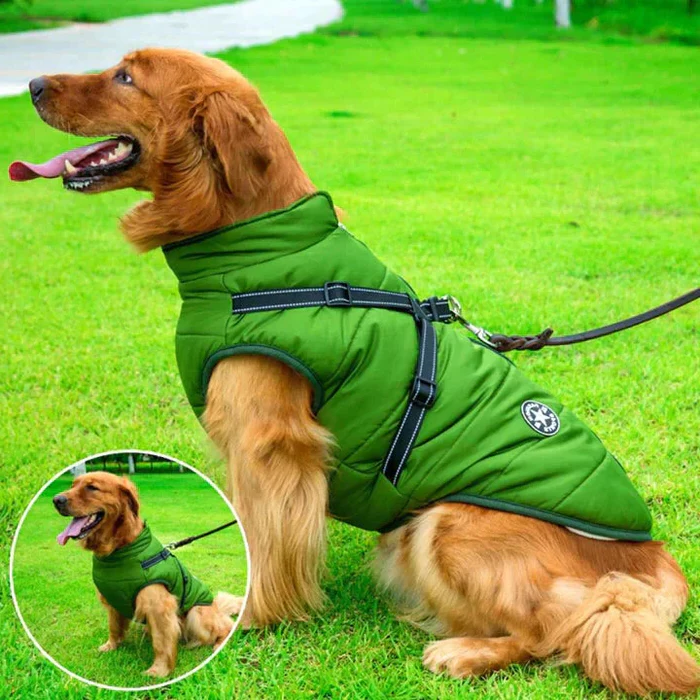 Giacca invernale impermeabile per cani - Foderata in pile Sherpa - Pettorina integrata 1