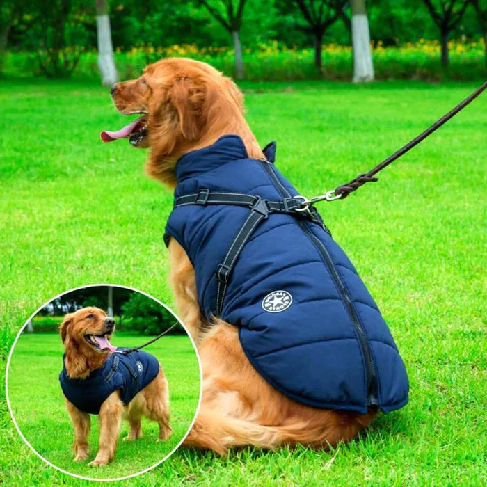 Giacca invernale impermeabile per cani - Foderata in pile Sherpa - Pettorina integrata 2