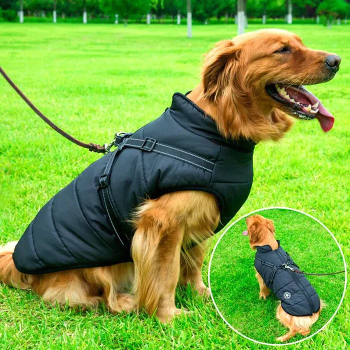 Giacca invernale impermeabile per cani - Foderata in pile Sherpa - Pettorina integrata 3