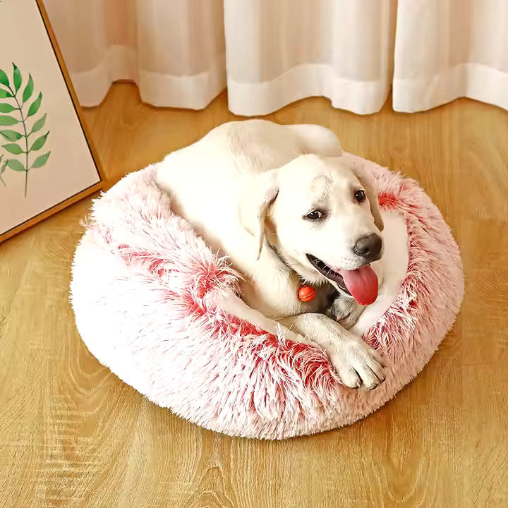 Grotta per coccole 2 in 1 per cani 1
