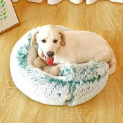 Grotta per coccole 2 in 1 per cani 2