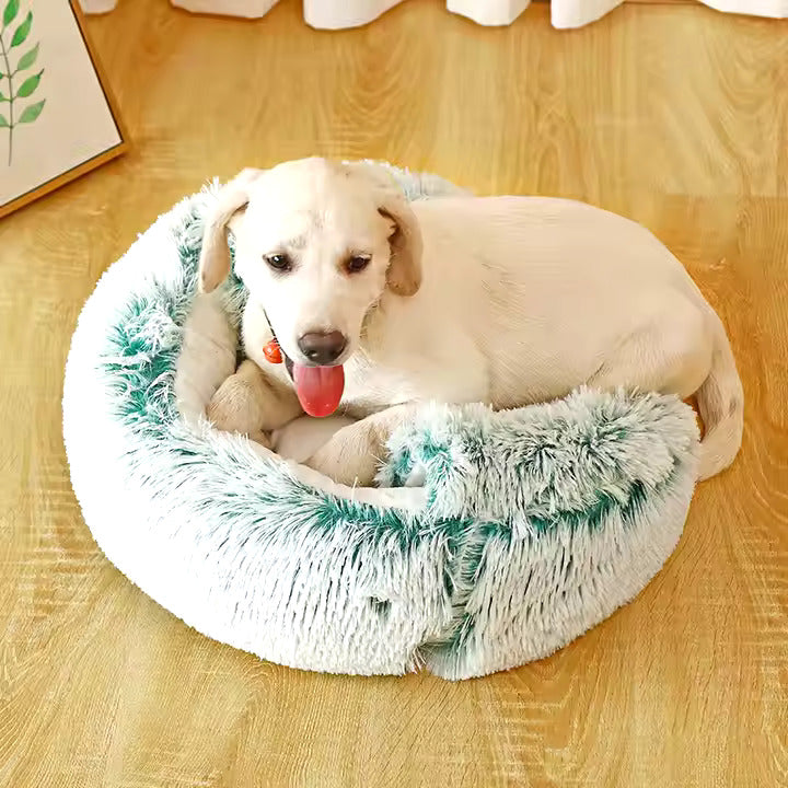 Grotta per coccole 2 in 1 per cani 2