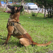 K9 Harness – Pettorina tattica per cani 4