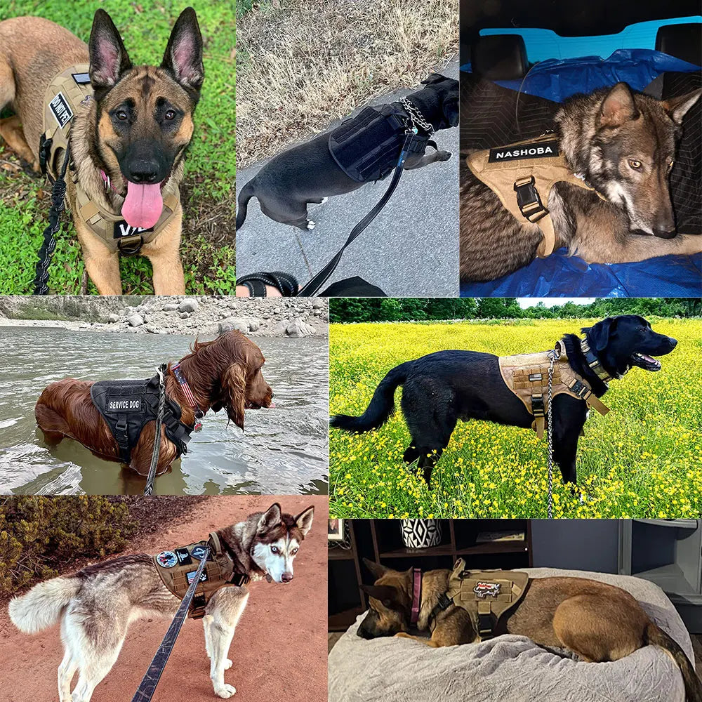 K9 Harness – Pettorina tattica per cani 6