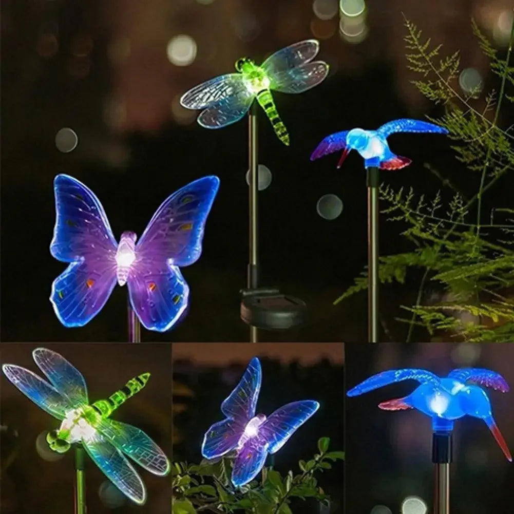 Lampada solare da giardino con colibrì, farfalla e libellula: design ecologico e resistente alle intemperie per un'affascinante illuminazione esterna 2