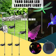 Lampada solare da giardino con colibrì, farfalla e libellula: design ecologico e resistente alle intemperie per un'affascinante illuminazione esterna 5