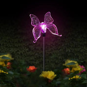 Lampada solare da giardino con colibrì, farfalla e libellula: design ecologico e resistente alle intemperie per un'affascinante illuminazione esterna 8