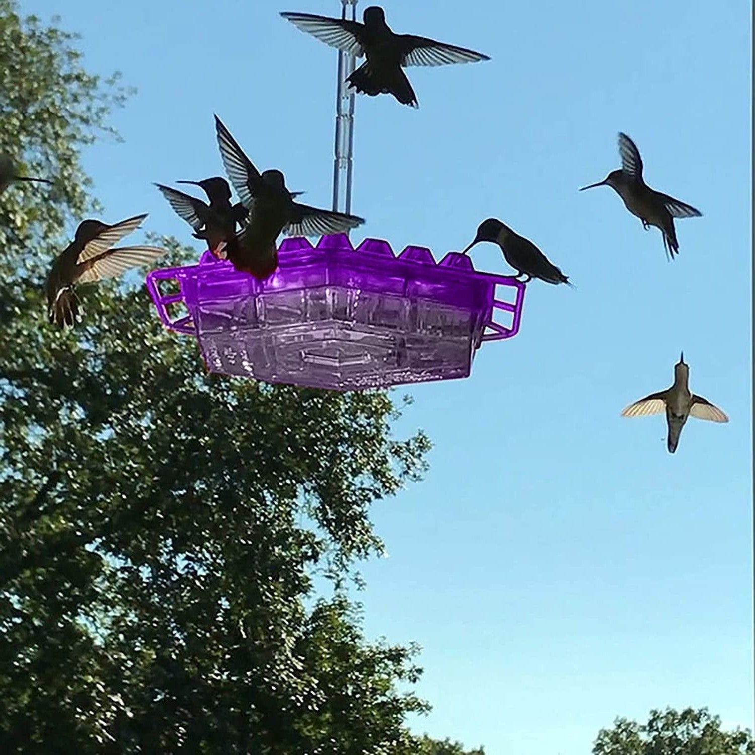 Mangiatoia per colibrì a prova di formiche, trespolo da appendere all'esterno 0