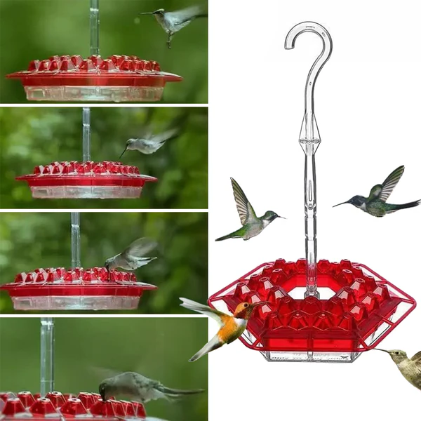 Mangiatoia per colibrì anti-formiche con 30 porte anti-api 0