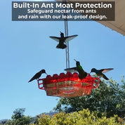Mangiatoia per colibrì anti-formiche con 30 porte anti-api 3