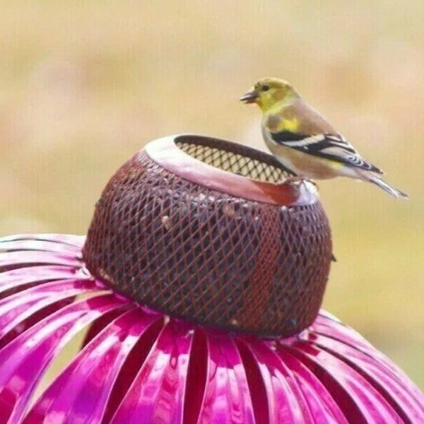 Mangiatoia per uccelli a forma di echinacea 5