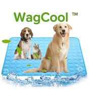 Mappe del cane di raffreddamento - tappetino coolpet 1