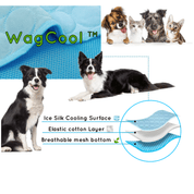 Mappe del cane di raffreddamento - tappetino coolpet 3
