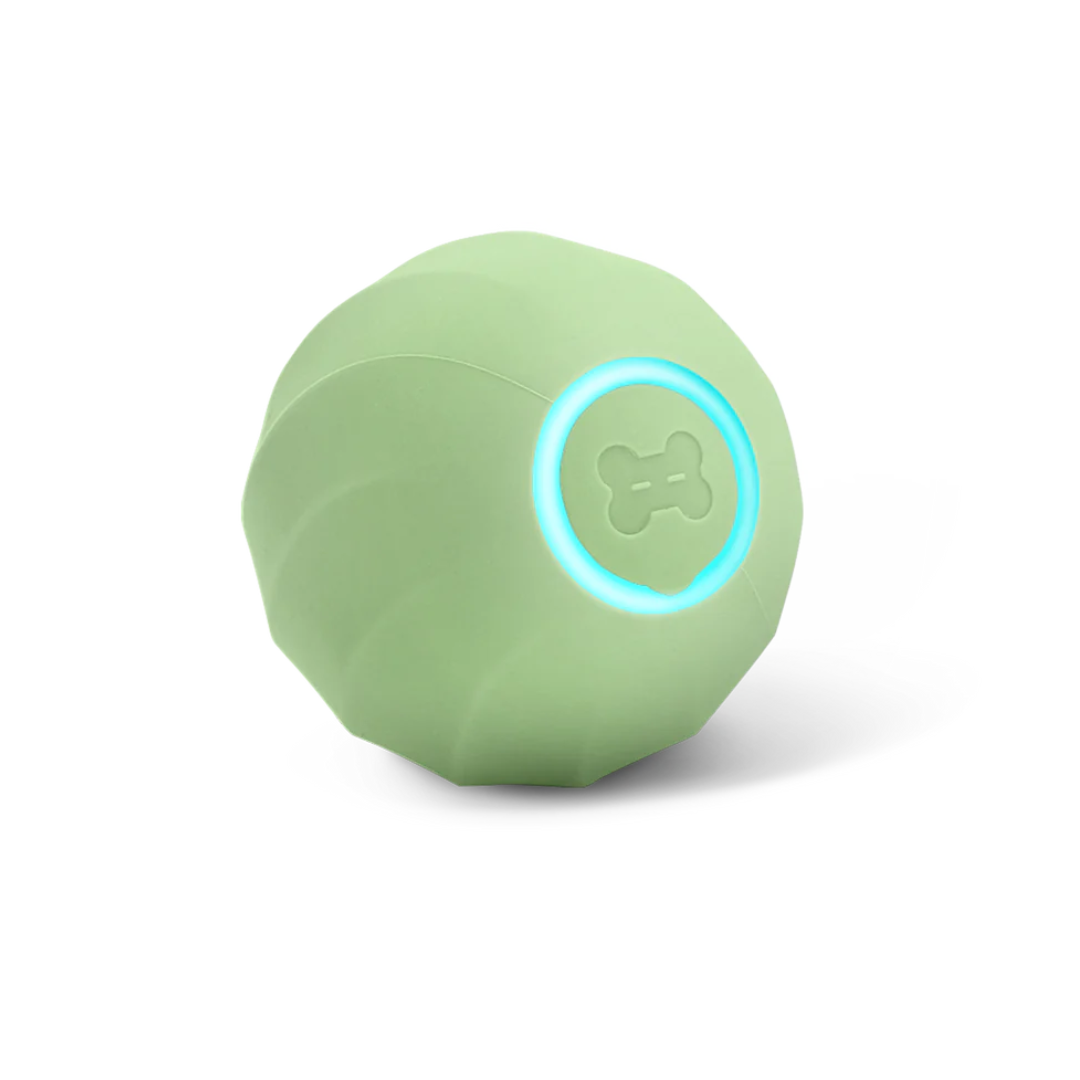 Palla interattiva per cani verde, con luce LED e simbolo osso, giocattolo intelligente per animali domestici, resistente e ricaricabile.