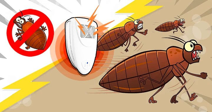 Repellente per cimici da letto a ultrasuoni - Sbarazzati delle cimici da letto in 48 ore 6