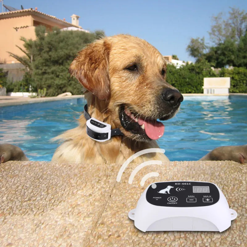 Sistema di addestramento per recinzione per cani wireless ricaricabile IP67 impermeabile 1