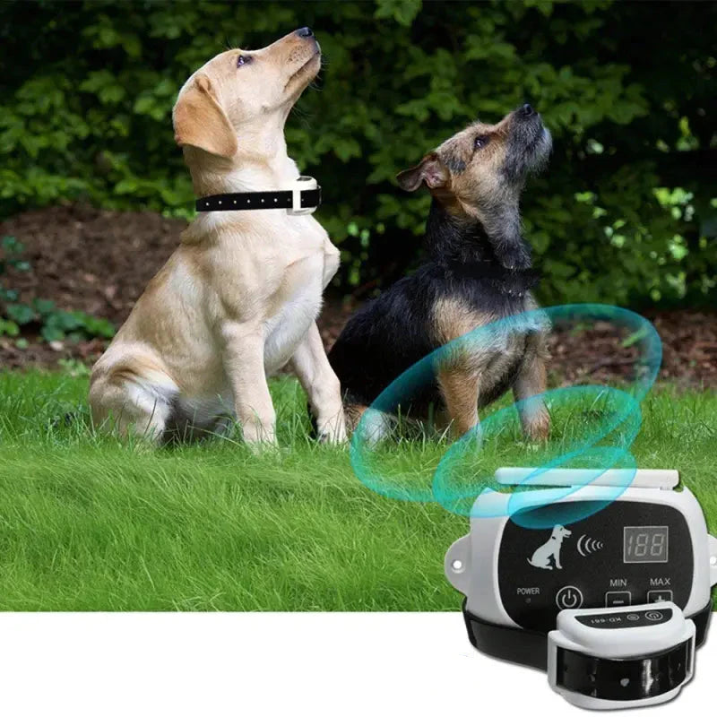 Sistema di addestramento per recinzione per cani wireless ricaricabile IP67 impermeabile 3