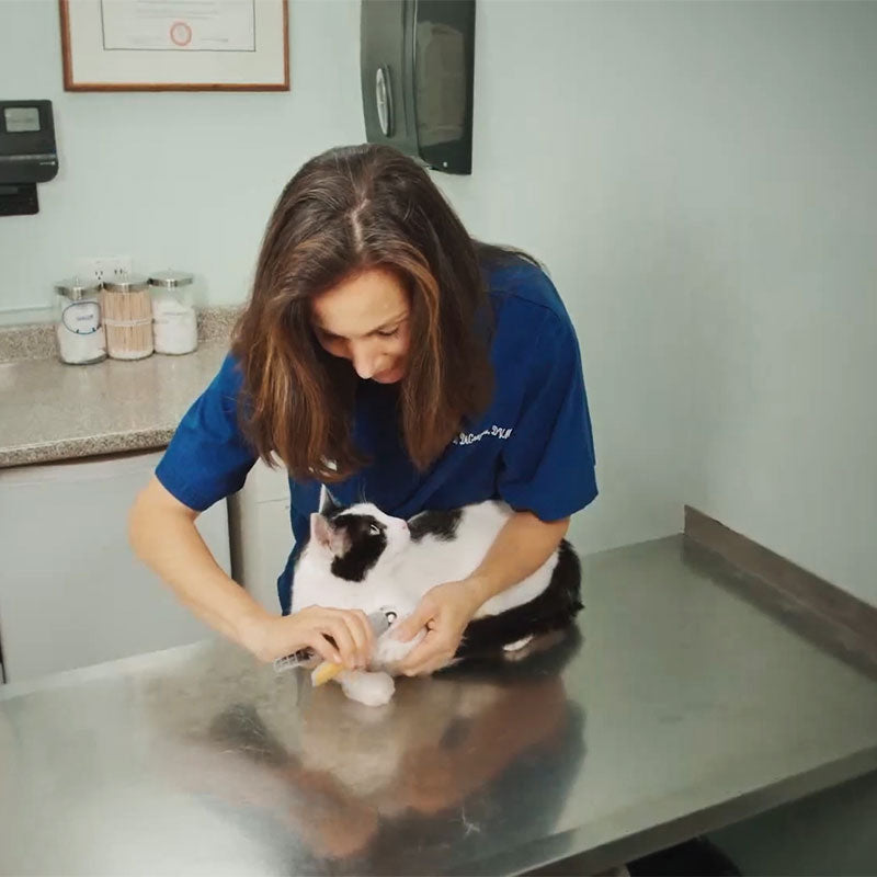 Chloe | Tosatrici per animali Quick-Sense: rifinitura estiva senza sforzo per zampe felici