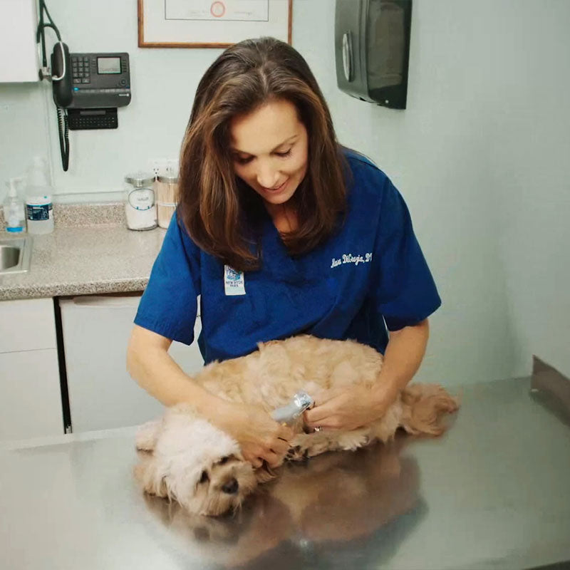 Chloe | Tosatrici per animali Quick-Sense: rifinitura estiva senza sforzo per zampe felici