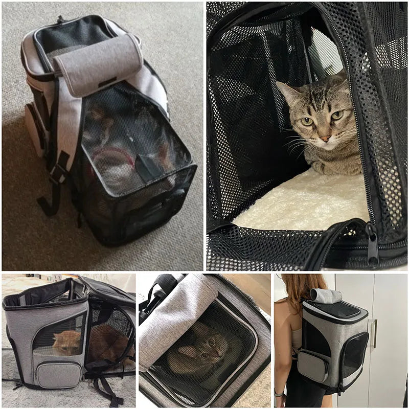 Zaino traspirante per cani e gatti 6