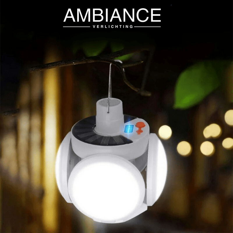 Zonne Energy Buitenlamp (LED) 1